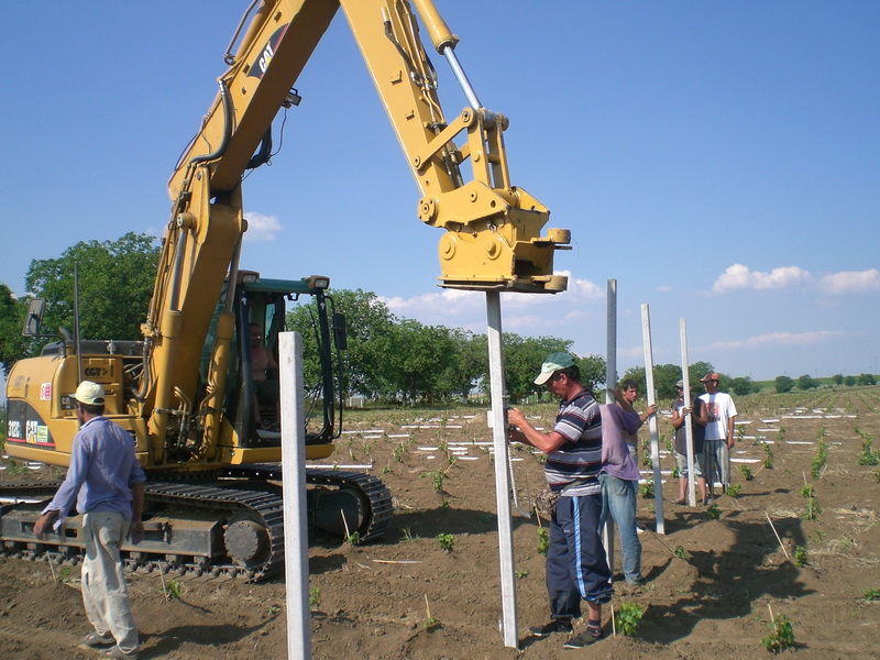 Ministrul Agriculturii: Discutăm la CE o suplimentare cu 5-6 milioane euro pe an a programului de reconversie-replantare la vie