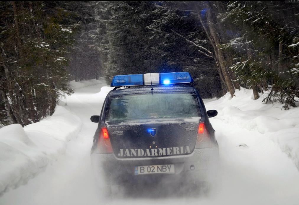 FOTO Cum arată noile autovehicule ale Jandarmeriei Române