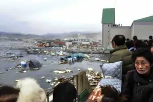 Japonia se pregăteşte să colecteze antidot la radioactivitate