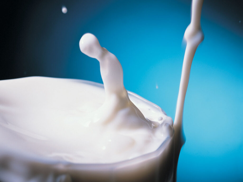 Noul adversar al industriei laptelui a provocat pierderi de 20 mil. euro