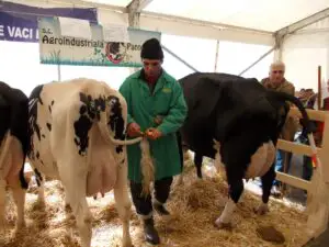 Producătorii de lapte, atenționați să depună declarațiile anuale până la data de 14 mai