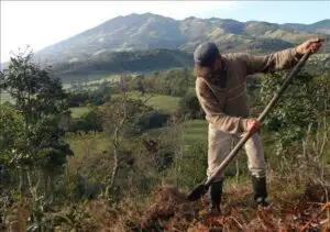 Ţara unde se confiscă milioane de hectare de terenuri arabile