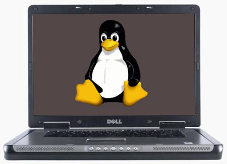 Află pe ce calculatoare Linux are o cotă de piaţă zdrobitoare în faţa Windows
