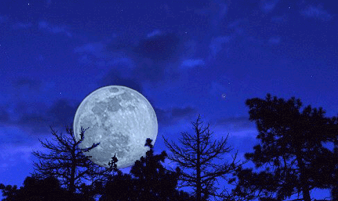 Rocă de pe Lună scoasă la vânzare cu 1,7 milioane de dolari, interceptată de NASA