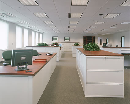 Cererea de birouri va creşte uşor în 2011