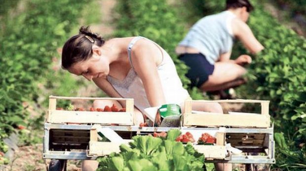 Unul din zece locuitori ai acestui judeţ este plecat în străinătate