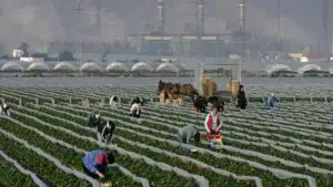 Soţul sau soţia şi copiii lucrătorilor autonomi români nu au nevoie de permise de muncă în Spania