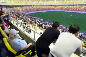 Ce mănâncă vedetele pe Naţional Arena: cleşte de crab, salsa de avocado şi şalău de Nil
