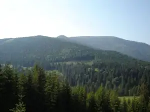 Cât la sută din suprafaţa ţării este ocupată de păduri