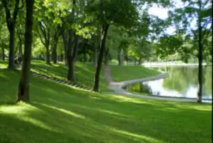 Peste 200 milioane lei investiţi în parcuri pentru ca România să ajungă la o medie de 26 mp spaţiu verde/locuitor în 2013