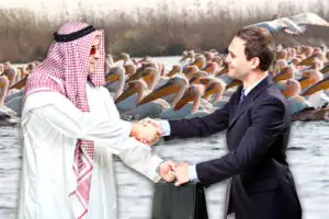 Arabii vor să facă investiții în Delta Dunării