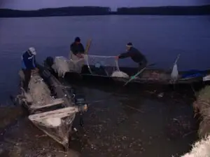 Se reia Programul Operaţional pentru Pescuit