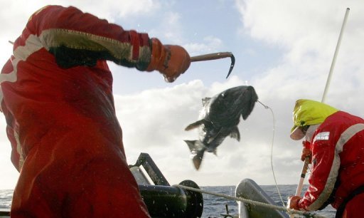 Oameni de ştiinţă cer interzicerea pescuitului în Oceanul Arctic