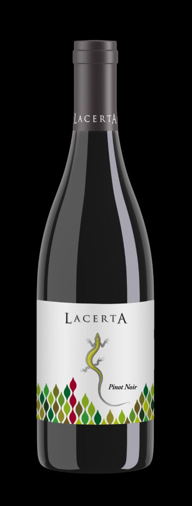 Producătorul de vinuri LacertA Winery vrea să vândă nemților și austriecilor vin de la Dealu Mare