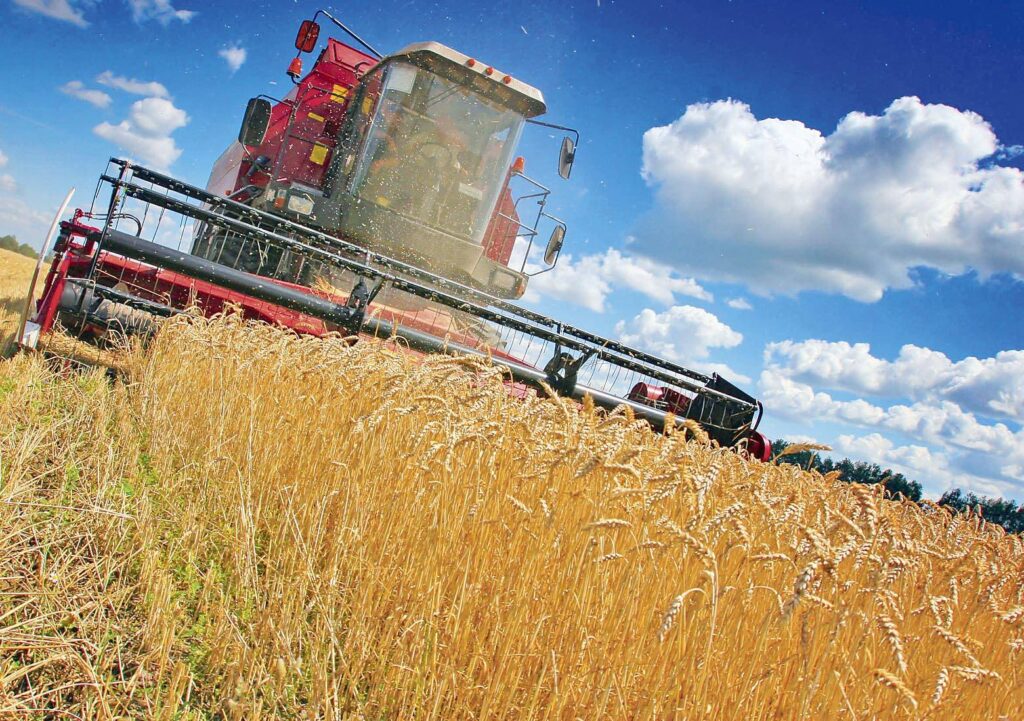 2011 – un an agricol bun pentru cereale şi cartofi