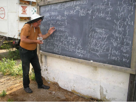 Un profesor român a redescoperit relația incredibilă dintre apicultură și matematică