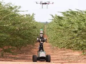 Iată ce spun serviciile americane de informaţii despre agricultura anului 2030
