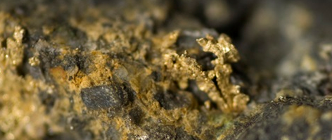 (P) Metalele rare de la Roşia Montană: există sau nu există?