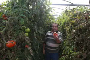 SE ÎNTÂMPLĂ de azi: Metro devine primul mare retailer care are pe rafturi legume „De-ale noastre”