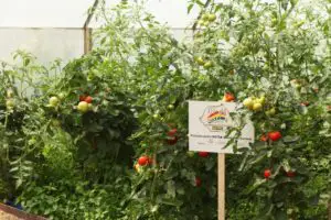 Produsele românești se vând din ce în ce mai bine. Hipermarketurile le fac tot mai mult loc în rafturi