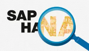 De la cele mai complexe procese de business până la fotbal şi F1, aplicabilitatea SAP HANA se extinde zilnic