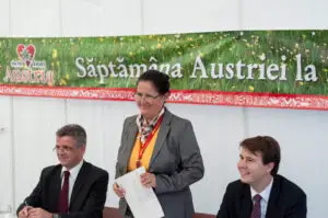 Cât au investit austriecii în România