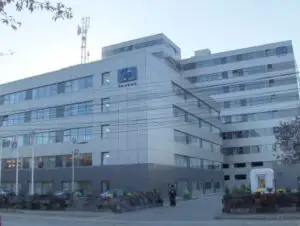 Cea mai performantă companie de servicii din România
