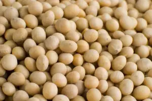Ministerul Agriculturii: România nu este încă pregătită să semneze ‘Danube Soya Declaration’