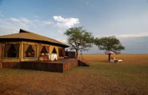 Camping pentru milionari: Glamping l FOTO