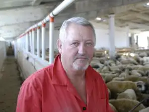 Românii descoperă cea mai sigură cultură agricolă: „hedging-ul”