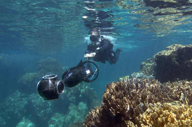 Google Maps difuzează primele imagini subacvatice