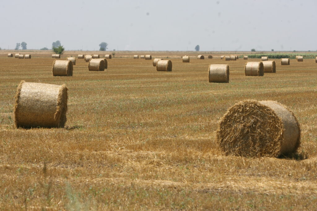 Terenurile agricole din România, ţinta străinilor în căutare de investiţii sigure