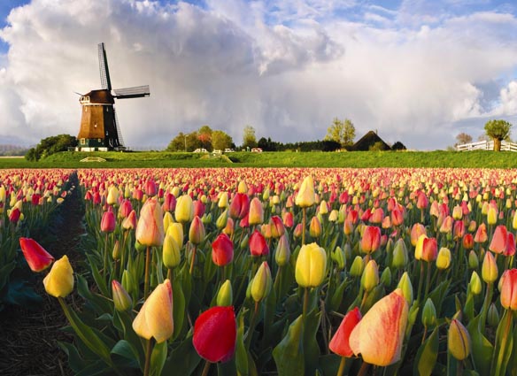 Investitorii străini pot cumpăra un permis de rezidenţă în Olanda pentru 1,25 milioane de euro