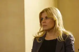 Udrea: Nu avem bani pentru infrastructură şi trebuie să apelăm la mediul privat