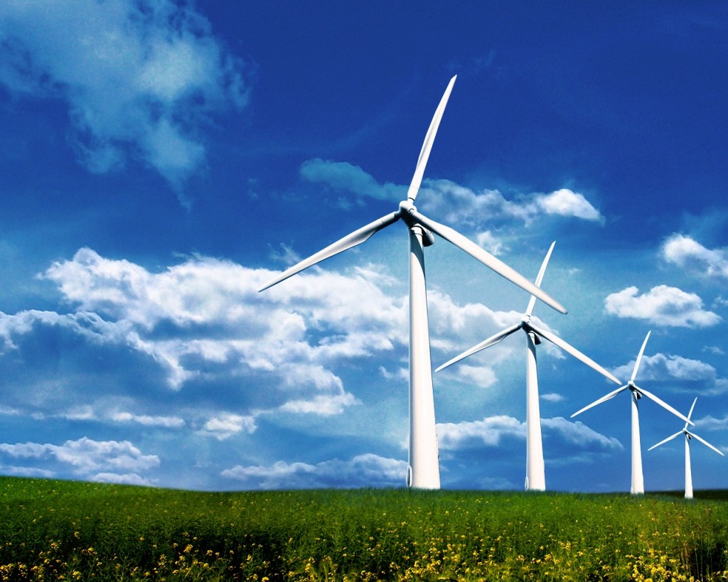Capacitatea instalată pentru producţia de energie eoliană ar putea ajunge la 1.000 MW în 2011