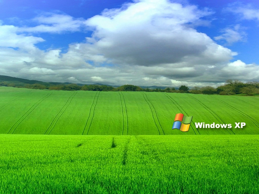 Utilizatori din întreaga lume renunţă la Windows XP. Află de ce